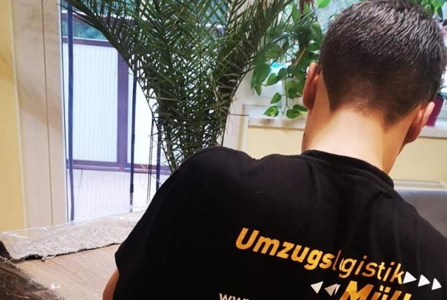 Behördenumzug Preise und Kosten Zschopau